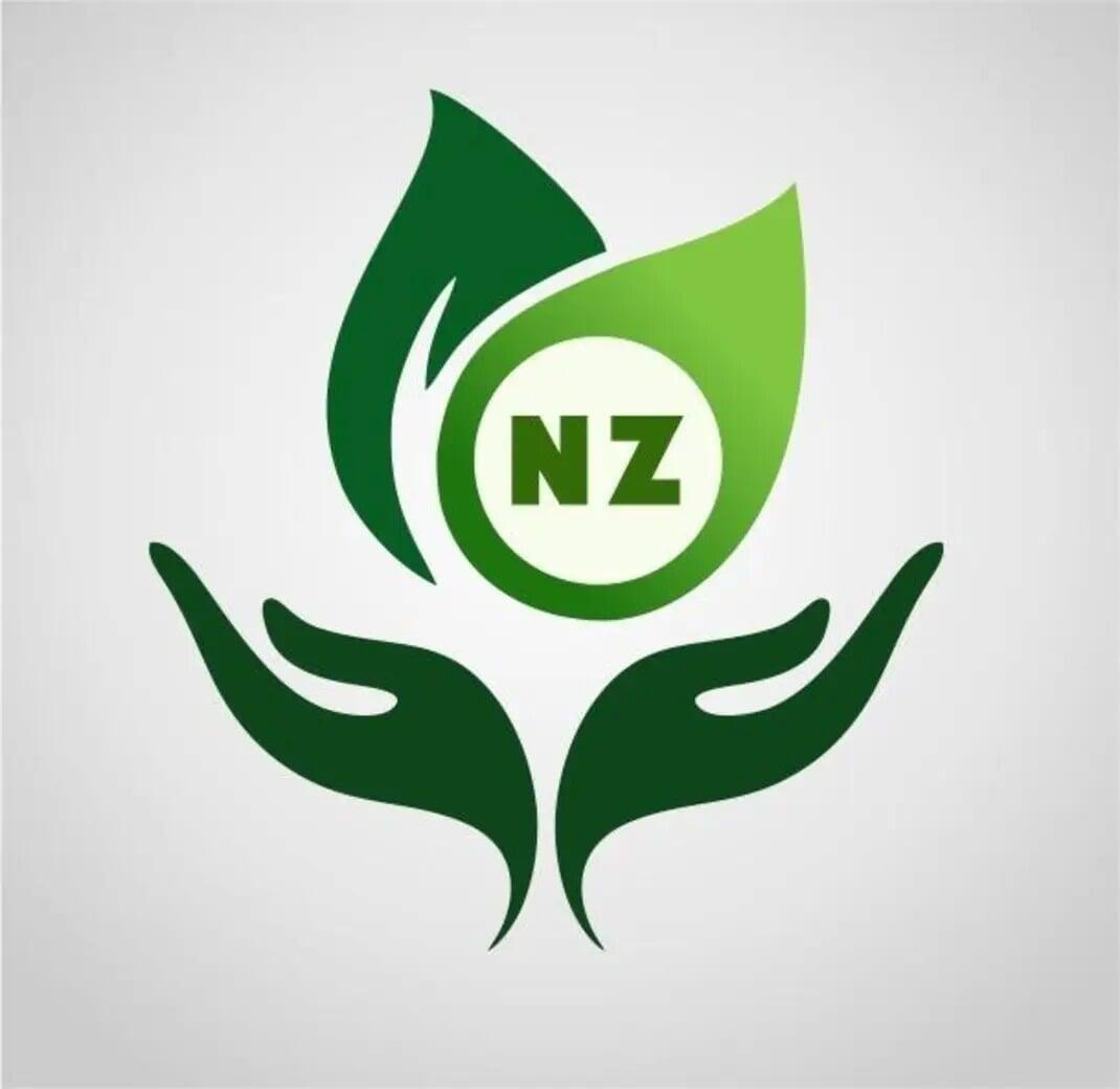 netzeronexusinitiative.org